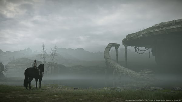 Pikkukuva 3 / 10: Sony Interactive Entertainment Shadow of the Colossus PlayStation 4