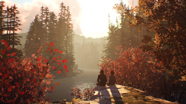 Miniatyrbillede 5 af 10: Square Enix Life is Strange 2 Standard Xbox One
