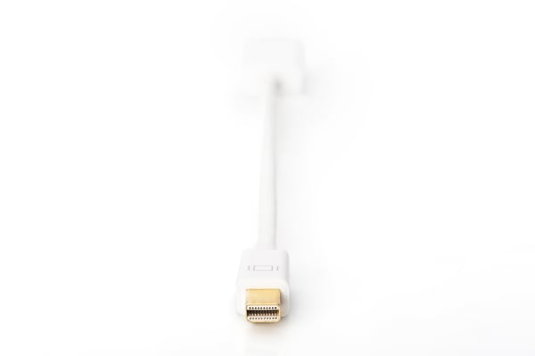 DIGITUS DisplayPort Adapter / Konverter