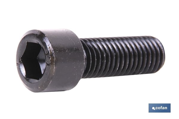 Miniatyrbillede 1 af 2: Cofan 00241250N skrue/bolt 50 mm