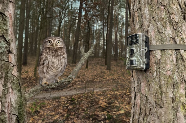 Miniatyrbild 4 av 10: Technaxx TX-256 Inomhus & utomhus 3840 x 2160 pixlar Vägg