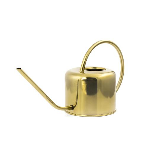 Miniatyrbillede 1 af 3: Kikkerland WC01 vandkande Guld