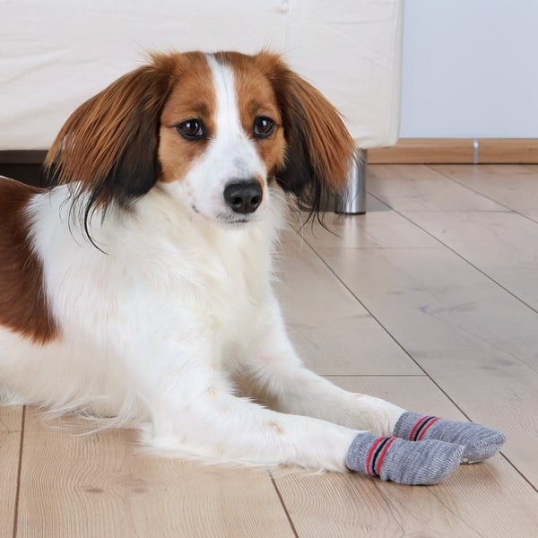 TRIXIE 19504 hundsock