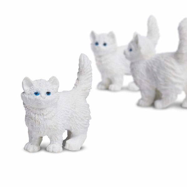 Safari Ltd Kitten