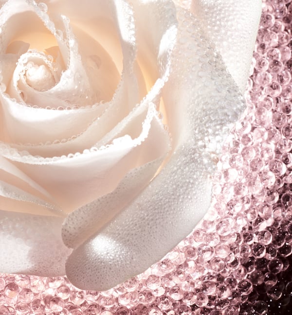 Dior Prestige Le Micro-Caviar de Rose Ansigtskoncentrat 75 ml Kvinder