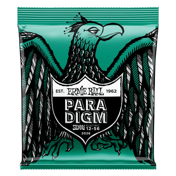 Ernie Ball P02026 streng til musikinstrument Elektrisk 6 stk Stål Guitar