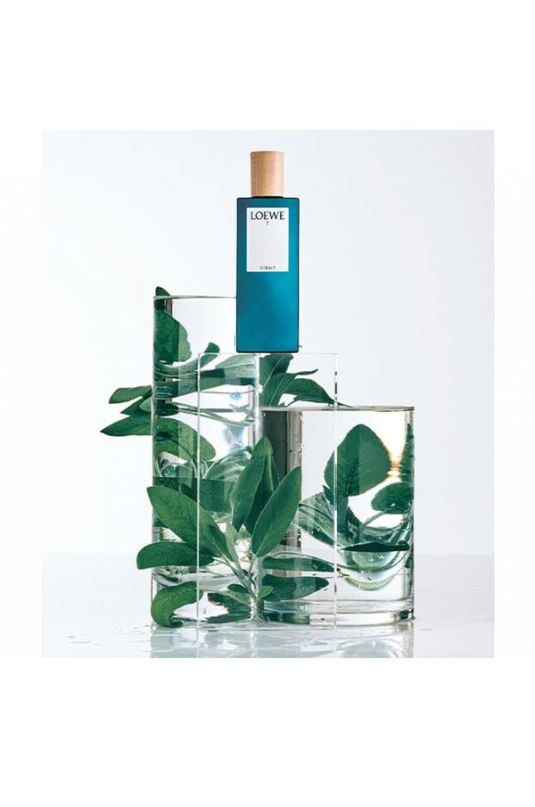 Pikkukuva 4 / 4: LOEWE Perfumes 7 Cobalt 100 ml Miesten
