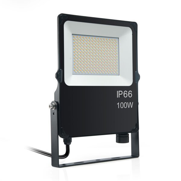 OPTONICA LED FL100-A7 E