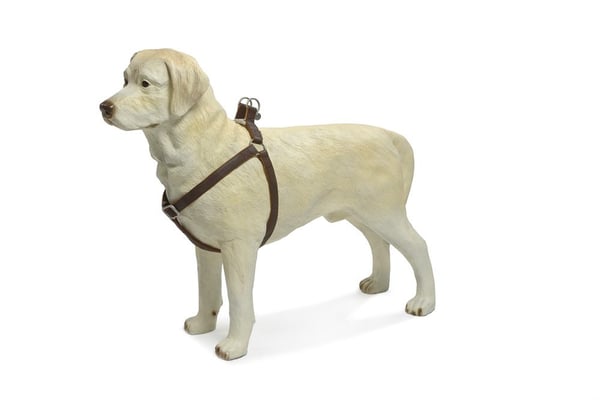 Beeztees 745008 Brun Konstläder, Nylon Hund Antidragsele