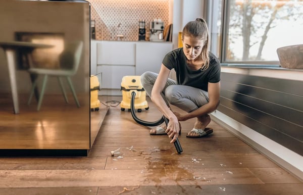 Kärcher WD 2 Plus V-12/4/18 12 l Trummdammsugare Torr&våt 1000 W Dammpåse