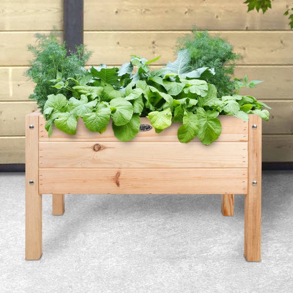 Esschert Design KG224 Korotettu istutuslaatikko Vihanneslaatikko Puu Suorakulmio
