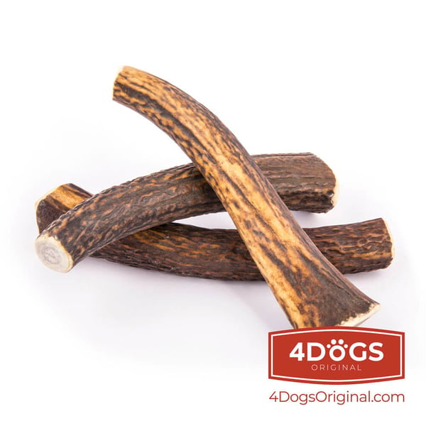 Pikkukuva 3 / 3: 4DOGS B18