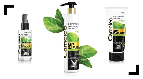 Delia Cosmetics Cameleo Anti-Damage Ikke-professionel hårbalsam 200 ml Kvinder