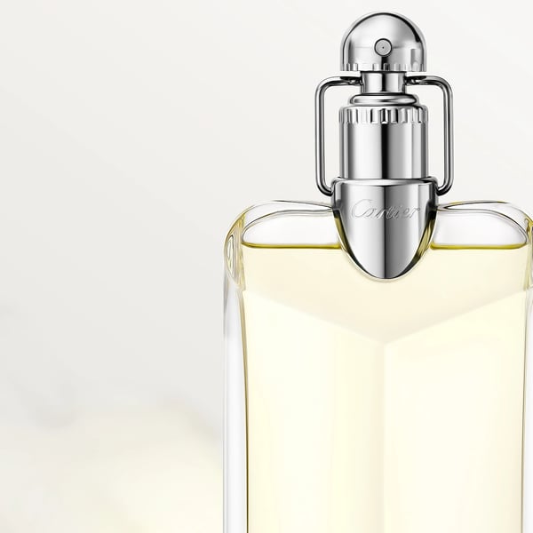 Pikkukuva 7 / 7: Cartier Déclaration 100 ml Miesten