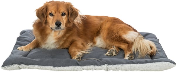 Miniatyrbillede 2 af 7: TRIXIE Farello Hund Plys, Polyester Grå, Hvid