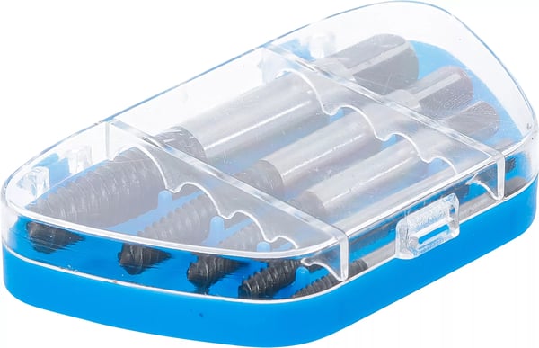 BGS technic Screw Extractor Set pistorasia