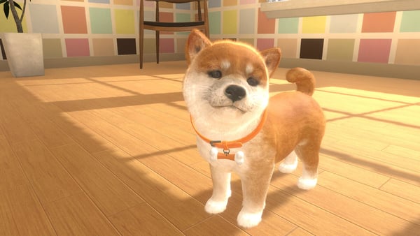 Pikkukuva 3 / 5: Sold Out Little Friends : Dogs & Cats Vakio Nintendo Switch