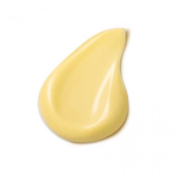 Miniatyrbillede 3 af 3: Dr. Hauschka Quince Day Cream - Limited Edition Dagcreme Ansigt 30 ml