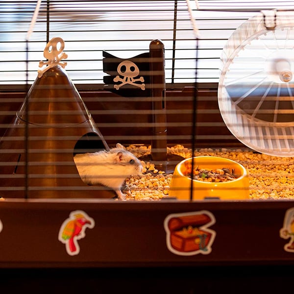 Miniatyrbillede 5 af 8: Ferplast Criceti 9 Pirates Hamster Brun, Grå