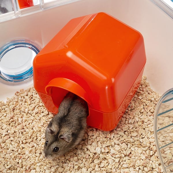 Pikkukuva 4 / 11: Ferplast Combi 1 Hamsteri Läpinäkyvä, Valkoinen