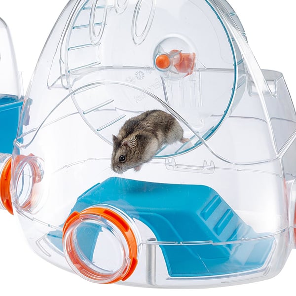 Ferplast Combi 2 Hamsteri Sininen, Läpinäkyvä