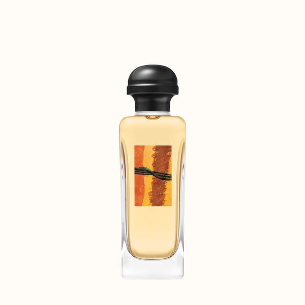 Hermes Rocabar 100 ml Miesten