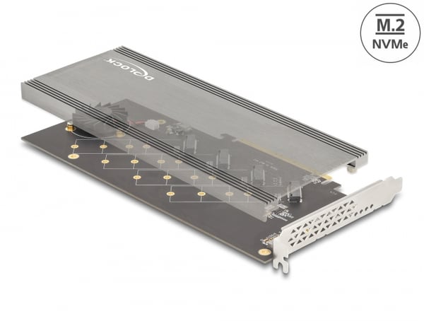 DeLOCK 90079 nätverkskort/adapters Intern M.2