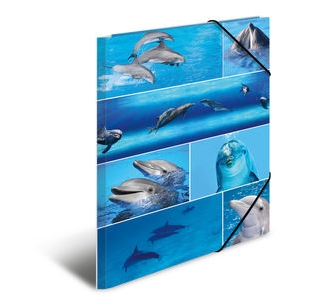 HERMA 19221 folder Pap Flerfarvet A3