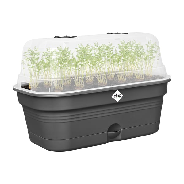 elho 8711904515881 planteringskruka Plast Svart