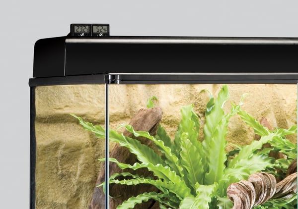Miniatyrbillede 3 af 4: Exo Terra PT2472 termometer til miljøet Elektronisk termometer Terrarium Sort