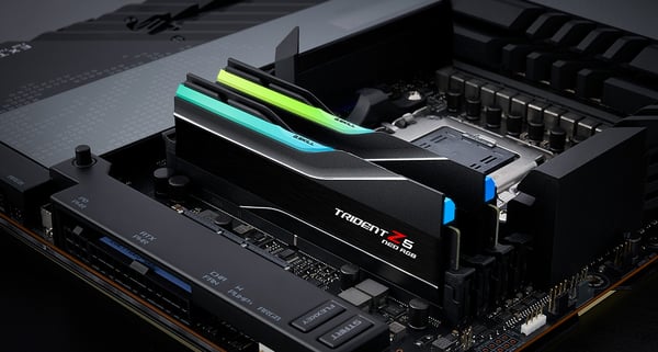 G.Skill Trident Z5 Neo RGB F5-6000J3244G64GX4-TZ5NR hukommelsesmodul 256 GB 4 x 64 GB DDR5 6000 MT/s 288-pin DIMM