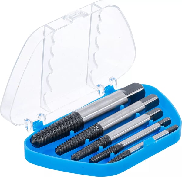 BGS technic Screw Extractor Set pistorasia
