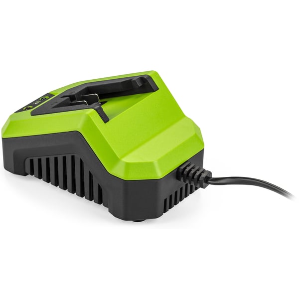 Fieldmann FDUZ 79100 batteri och laddare för motordrivet verktyg Batteriladdare