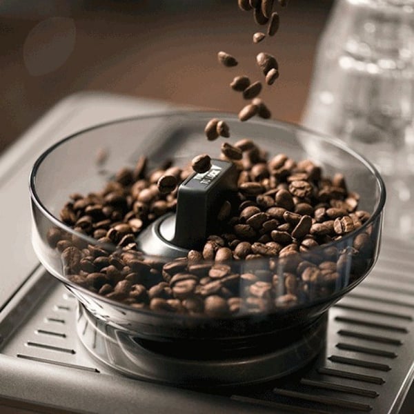 Espressomaskine Sage SES880BTR