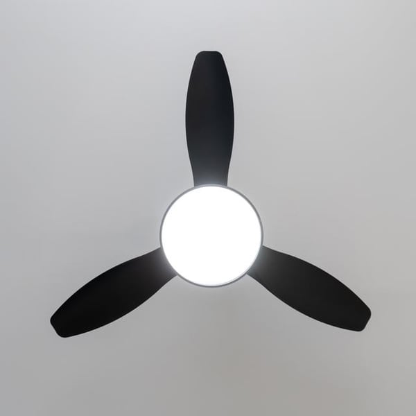 Miniatyrbillede 5 af 10: Cecotec 08562 ventilator Sort