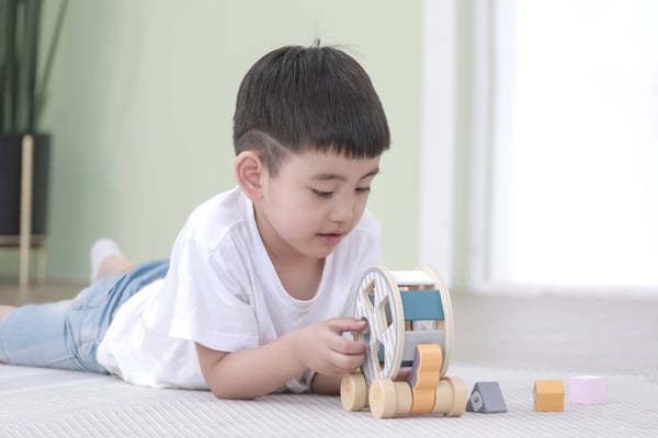 PolarB Hedgehog w/ Sorting Wheel