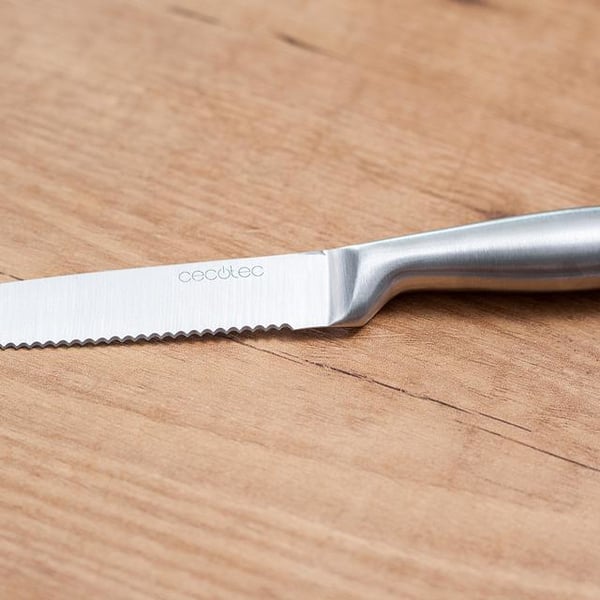 Cecotec 01025 bordskniv 6 styck Rostfritt stål Grillkniv