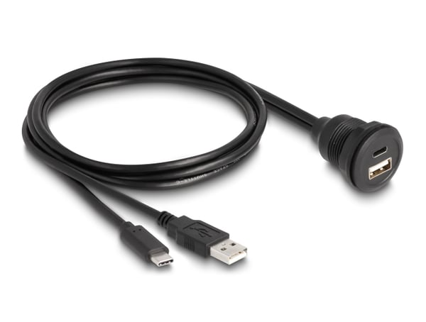 DeLOCK 88102 kabel kønsskifter 1 x USB Type-A / 1 x USB Type-C Sort