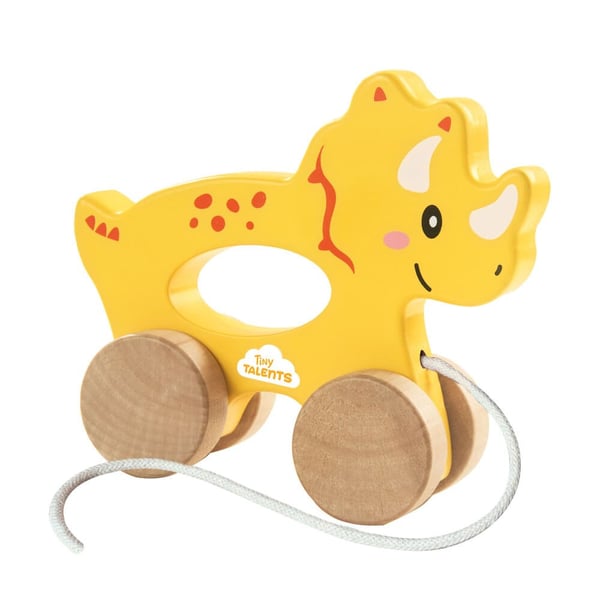 SES Creative Tiny Talents 13203 push-pull lelu