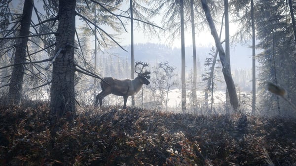 Miniatyrbillede 15 af 19: THQ Nordic theHunter : Call of The Wild - 2019 Edition - Game of the Year Edition PC