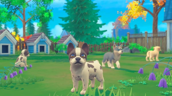 Microids My Universe: Pets Edition