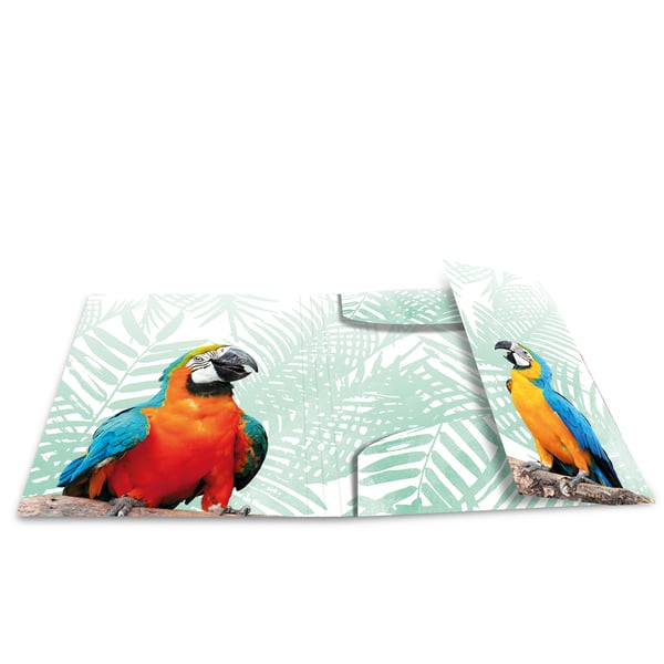 HERMA Tropical clique Polypropylen (PP) Flerfarvet A4