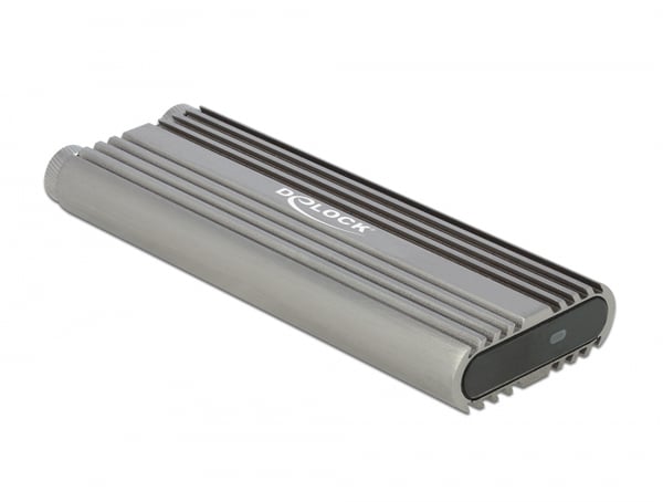 DeLOCK 42001 Hölje för lagringsenheter SSD-inkapsling Silver M.2