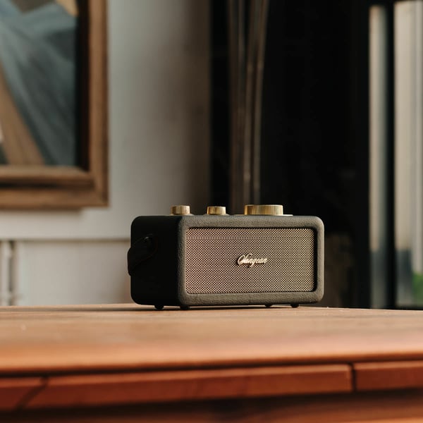 Sangean RA-101 Bærbar Analog Sort, Guld