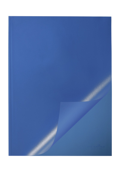 Durable 2919 raporttikansi Polypropeeni (PP) Sininen