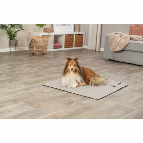 TRIXIE 28230 kastetæppe til hund og kat Polyester Beige