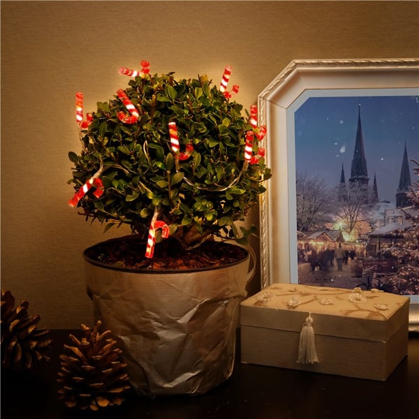 Miniatyrbild 4 av 4: Goobay 58117 dekorativt ljus Fairy lights 10 lampor LED