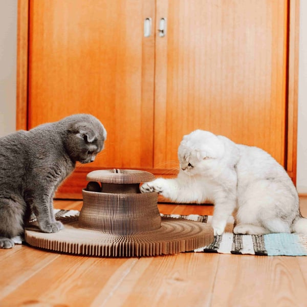 Miniatyrbild 3 av 8: District 70 6562 Bädd för hund och katt Krypin bädd för husdjur