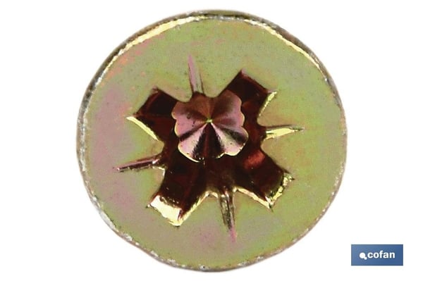 Cofan 02502520 skrue/bolt 20 mm