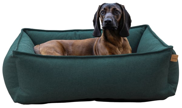 Kerbl 85769 Bädd för hund och katt Husdjurskudde